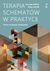 Książka ePub Terapia schematÃ³w w praktyce Praca z trybami schematÃ³w (wyd.2021) - Jacob Gitta, Arnoud Arntz