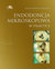 Książka ePub Endodoncja mikroskopowa w praktyce - Rembiasz-JedliÅ„ski Alicja