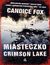 Książka ePub Miasteczko Crimson Lake - Candice Fox
