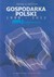 Książka ePub Gospodarka Polski 1990-2011 Tom 1 Transformacja - brak