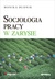 Książka ePub Socjologia pracy w zarysie - Budnik Monika