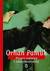 Książka ePub Pisarz naiwny i sentymentalny twarda - Orhan Pamuk