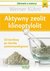 Książka ePub Aktywny zeolit - klinoptylolit. Od boreliozy po choroby autoimmunologiczne - Werner Kuhni