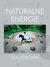 Książka ePub Naturalne energie dla zdrowia | ZAKÅADKA GRATIS DO KAÅ»DEGO ZAMÃ“WIENIA - Matela Leszek