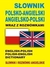 Książka ePub SÅ‚ownik polsko-angielski angielsko-polski wraz z rozmÃ³wkami Jacek Gordon ! - Jacek Gordon