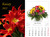Książka ePub Kalendarz 2022 Kwiaty 7-k - brak