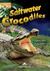 Książka ePub Saltwater Crocodiles. Reader level B1 + DigiBook - Virginia Evans, Jenny Dooley