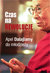 Książka ePub Czas na rewolucjÄ™ apel dalajlamy do mÅ‚odzieÅ¼y - brak