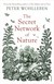 Książka ePub The Secret Network of Nature - Wohlleben Peter