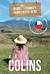 Książka ePub Biuro PodrÃ³Å¼y Samotnych Serc. Kierunek: Chile - Colins Katy