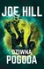 Książka ePub Dziwna pogoda Joe Hill ! - Joe Hill