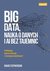 Książka ePub Big data nauka o danych i ai bez tajemnic - brak