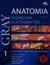 Książka ePub Gray Anatomia PodrÄ™cznik dla studentÃ³w Tom 1 - brak