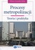 Książka ePub Procesy metropolizacji. Teoria i praktyka - brak