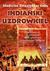 Książka ePub IndiaÅ„ski uzdrowiciel. Wprowadzenie... - brak