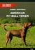 Książka ePub American pit bull terier | - ZarzyÅ„ska Joanna