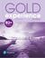 Książka ePub Gold Experience 2E B2+ Workbook | ZAKÅADKA GRATIS DO KAÅ»DEGO ZAMÃ“WIENIA - Dignen Sheila, Walsh Clare
