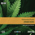 Książka ePub CD MP3 ZdrowaÅ› mario reportaÅ¼e o medycznej marihuanie - brak