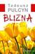 Książka ePub Blizna - Pulcyn Tadeusz