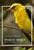 Książka ePub Ptaki w mieÅ›cie czyli birdwatching po polsku - brak