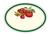 Książka ePub Naklejki dekoracyjne ETK 219 Pomidory 6szt ROSSI - brak