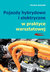 Książka ePub Pojazdy hybrydowe i elektryczne w praktyce warsztatowej - Schmidt Torsten