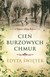 Książka ePub CieÅ„ burzowych chmur Edyta ÅšwiÄ™tek ! - Edyta ÅšwiÄ™tek