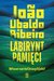 Książka ePub Labirynt pamiÄ™ci - Ribeiro Joao