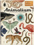 Książka ePub Animalium Jenny Broom - zakÅ‚adka do ksiÄ…Å¼ek gratis!! - Jenny Broom