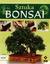 Książka ePub Sztuka bonsai RM - brak