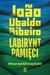 Książka ePub Labirynt pamiÄ™ci Wiwat narÃ³d brazylijski! Joao Ubaldo Ribeiro - zakÅ‚adka do ksiÄ…Å¼ek gratis!! - Joao Ubaldo Ribeiro