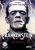 Książka ePub Frankenstein w wersji do nauki angielskiego - praca zbiorowa