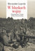 Książka ePub W blaskach wojny | ZAKÅADKA GRATIS DO KAÅ»DEGO ZAMÃ“WIENIA - Lepecki MieczysÅ‚aw B.