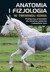 Książka ePub Anatomia i fizjologia w treningu konia Gillian Higgins ! - Gillian Higgins