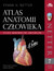 Książka ePub Netter Atlas anatomii czÅ‚owieka | - Netter F.H.