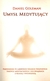 Książka ePub UmysÅ‚ medytujÄ…cy | ZAKÅADKA GRATIS DO KAÅ»DEGO ZAMÃ“WIENIA - Goleman Daniel