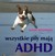 Książka ePub Wszystkie psy majÄ… ADHD - Hoopmann Kathy