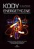 Książka ePub Kody energetyczne. 7-stopniowy program uzdrawiania ciaÅ‚a i duszy za pomocÄ… medycyny energetycznej, neurobiologii i fizyki kwantowej - Sue Morter