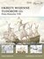 Książka ePub OkrÄ™ty wojenne TudorÃ³w (1): Flota Henryka VIII - brak