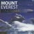 Książka ePub Mount everest biznesu wyd. 2011 - brak