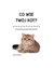 Książka ePub Co wie TwÃ³j kot? - Morgan Sally