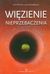 Książka ePub WiÄ™zienie nieprzebaczenia - LachmanovÃ¡ KateÅ™ina