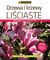 Książka ePub Drzewa i krzewy liÅ›ciaste. Katalog - Katarzyna Åazucka-CegÅ‚owska, Maciej Mynett