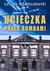 Książka ePub Ucieczka przed bombami | ZAKÅADKA GRATIS DO KAÅ»DEGO ZAMÃ“WIENIA - Adamczewski Leszek