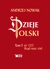 Książka ePub Dzieje Polski Tom 1 do 1202 SkÄ…d nasz rÃ³d - Andrzej Nowak