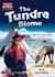 Książka ePub The Tundra Biome. Reader level B1+/B2 + DigiBook - Virginia Evans, Jenny Dooley