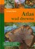Książka ePub Atlas wad drewna - brak