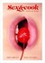 Książka ePub Sex & Cook MiÅ‚oÅ›Ä‡ od kuchni Robert Kowalczyk - zakÅ‚adka do ksiÄ…Å¼ek gratis!! - Robert Kowalczyk