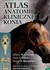 Książka ePub Atlas anatomii klinicznej konia - brak