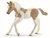 Książka ePub KoÅ„ Paint Horse Foal - brak